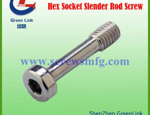 Hex Socket Slender Rod Screw