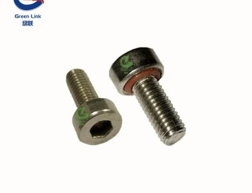 Socket Head Cap Seal Screw